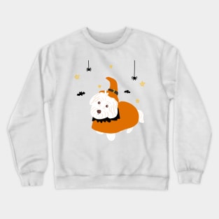 Halloween Maltipoo Dog Crewneck Sweatshirt